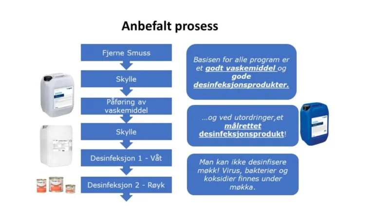 rengjøringsprosess for svineproduksjon